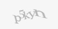 Κωδικός ασφαλείας